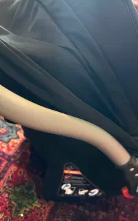 کریر نوزاد کیدیلو