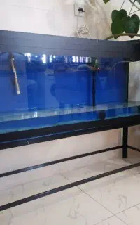 اکواریوم تکمیل