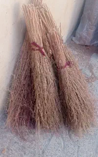 جارودستی
