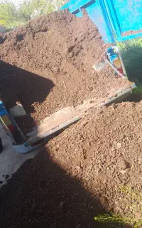 کود وپهن گوسفندی