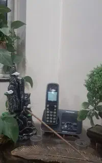 تلفن بیسیم
