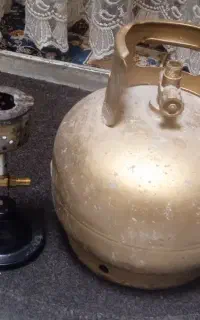 پیک نیک سالم وتمیز،