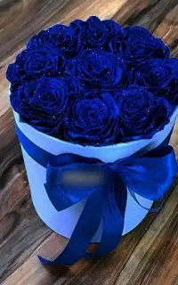 زیبایی دو چندان
