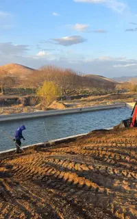 استخر پرورش ماهی کپور