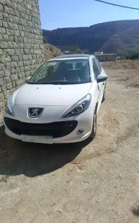 207پاناخشک تحویل روز