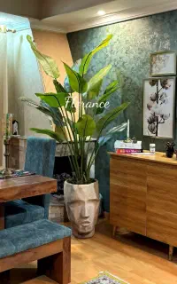 زیبایی سبز بدون دردسر