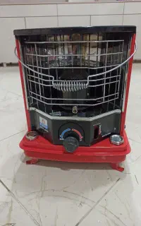 بخاری فوجیکا