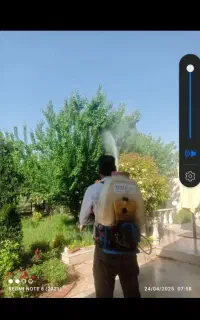 خدمات باغبانی وسمپاشی