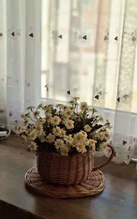 گل بابونه و گلدان حصیری