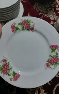 ظروف چینی کارکرده