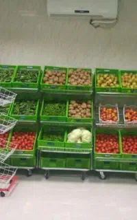 کالاپلاس،قفسه9066