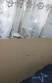 تخت یک نفر چوبی