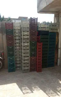 جعبه برایه میوه محلی