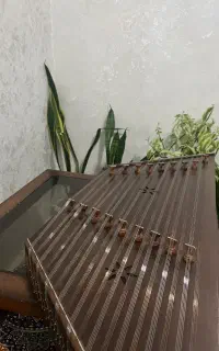 آموزش سنتور نوازی (بانوان)