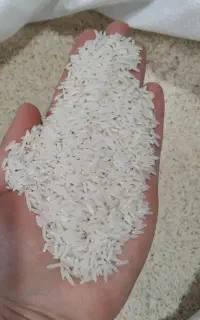فروش عمده برنج دم سیاه درجه ۱ ایرانی