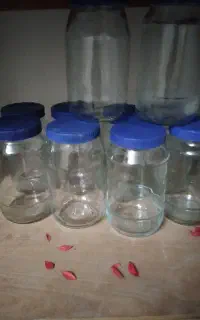 تعدادی شیشه ترشی عسل