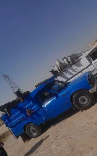 بزرگترین مجموعه خرید و فروش اسب مادیون ۳۰ تا۴۳