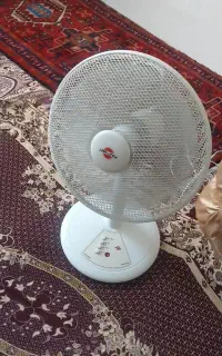 پنکه سالم نو