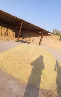 خار