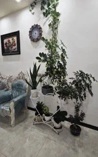 خدمتکار یا سرایدار