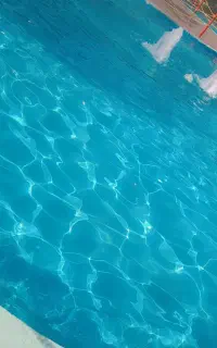 بلیط استخر چمران