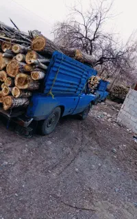 خرید همه نوع درخت و چوب با قیمت بالا،هرس،برشکاری