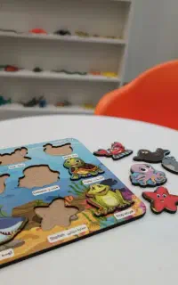 روانشناس کودک و آموزش ابتدایی