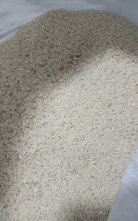 برنج علی کاظمی چغلوندی درجه یک(به قیمت درب کارخونه