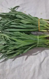 تره