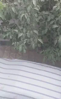 فروش ساختمان