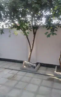 نقاشی ساختمان