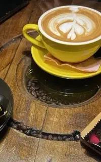 استخدام نیروی خانم