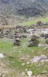 دوربین شکاری اسب دوانی