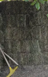 علف پرس شده