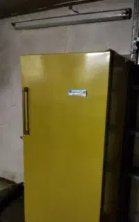 بار به کرمان