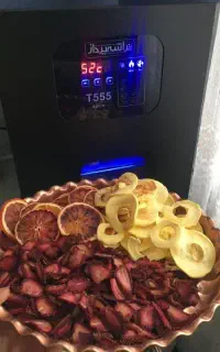 دستگاه میوه و سبزی خشک کن تراشه پرداز مدل t555