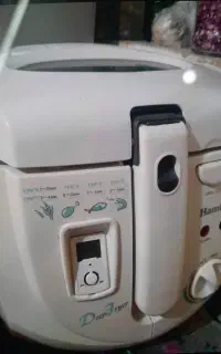 سرخ کن همیلتون با روغن