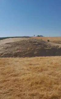 کاه گندم دیم