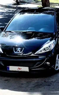 اجاره  یا رنت خودرو 207