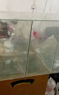 ویترین شیشه ای