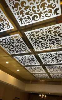 کاذب 60/60 انواع سقف ها