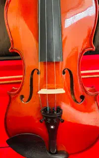 ویولن والنسیا آبنوس