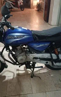 باکسر