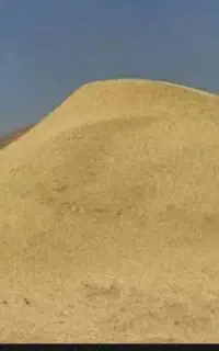 کاه گندم