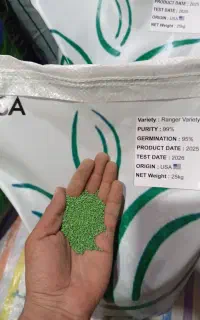 بذر یونجه کشت سال