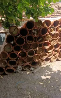 کندو زنبور عسل