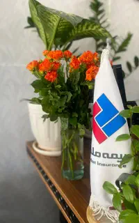 بیمه نامه خودرو بازنشستگان تمام اقساط کسر از حقوق