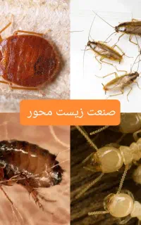 شرکت سمپاشی صنعت زیست محور،سم پاشی ساس سوسک موش