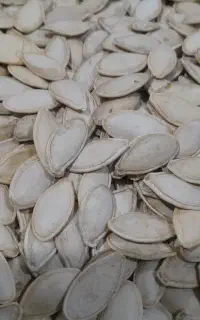 فروش تخم کدو آجیلی