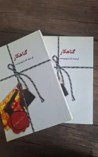 کتاب رمان گناهکار